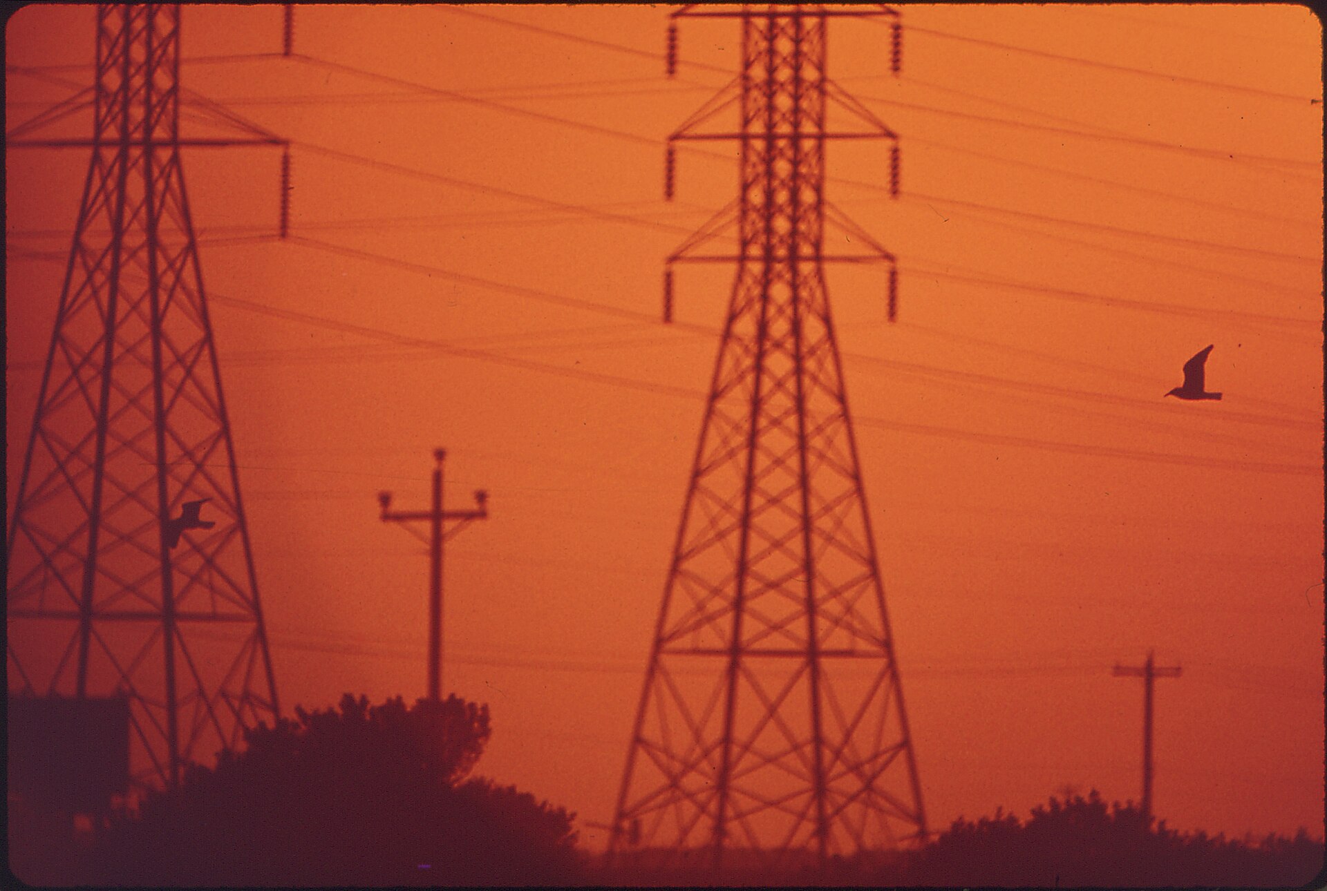 Power lines stretching toward the horizon