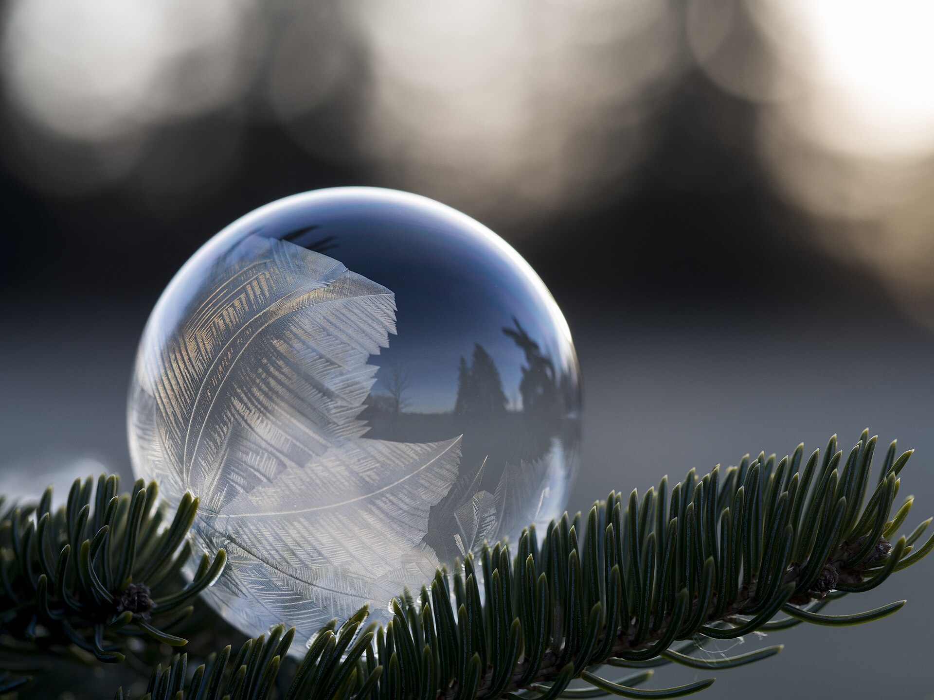 A frozen bubble, a sealed world of its own